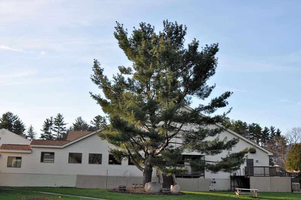 Fox Ridge Resort North Conway Extérieur photo