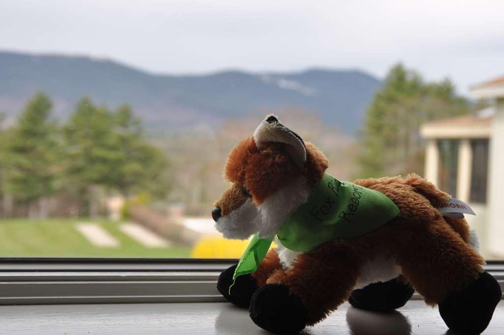 Fox Ridge Resort North Conway Extérieur photo